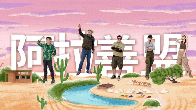 油耗与经济性——两者的省油能力对比