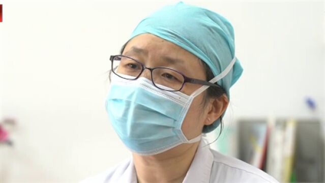 重回沈府掠春光
