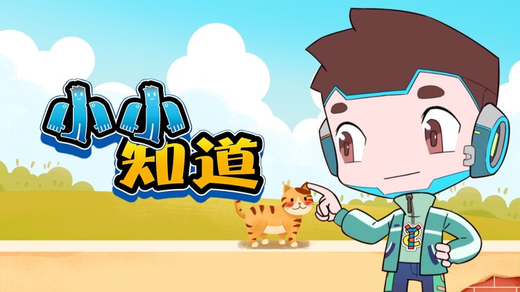 我被套路撞了N下腰——成长与反击