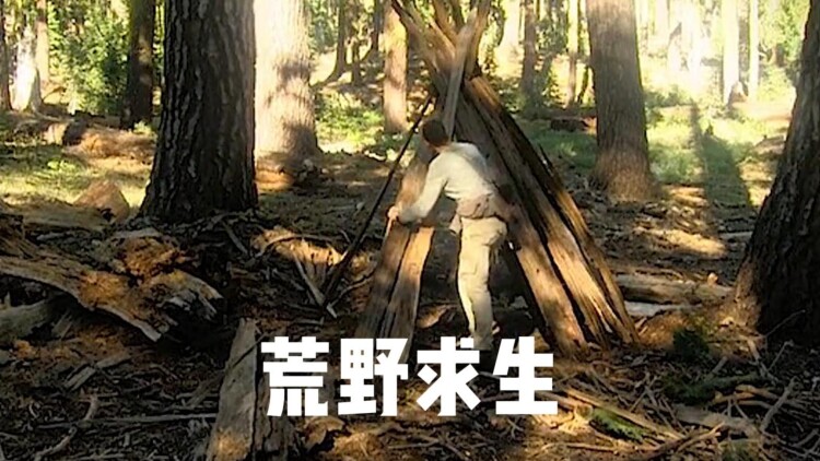 黑色太阳
