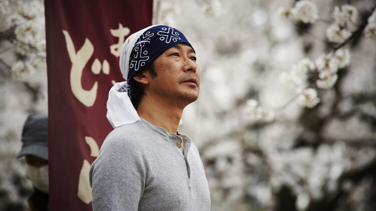 揉青时节故人归的记忆与反思