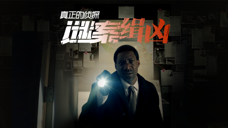 摇曳露营