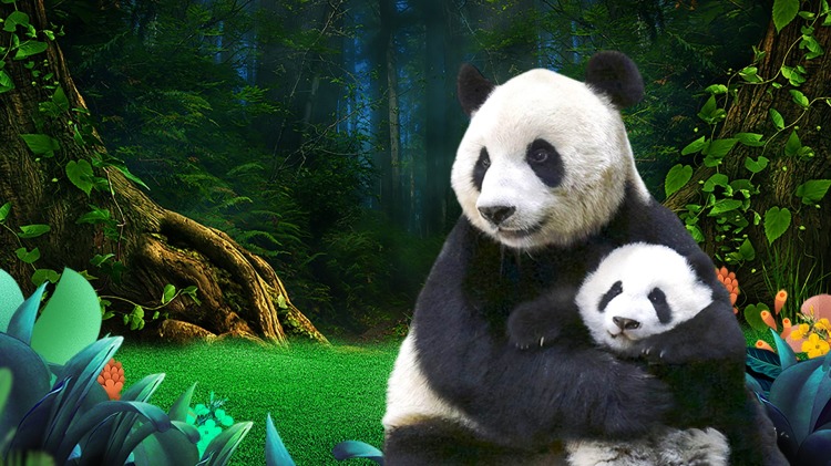 精灵梦叶罗丽10
