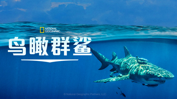黑上加黑第四季：最终决战与未来的抉择