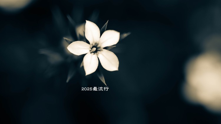 欢乐喜剧人第五季