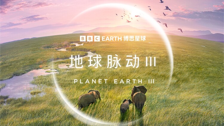 怪奇物语第四季