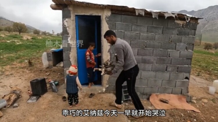 福星高照短剧版