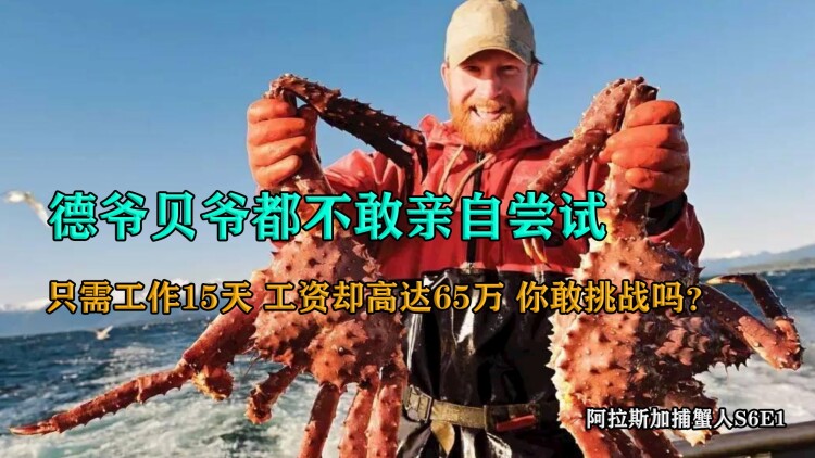如何找到生活的平衡点？从“欢喜”到“安宁”！