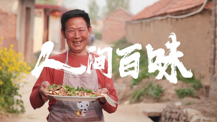 双面王爷谋天下