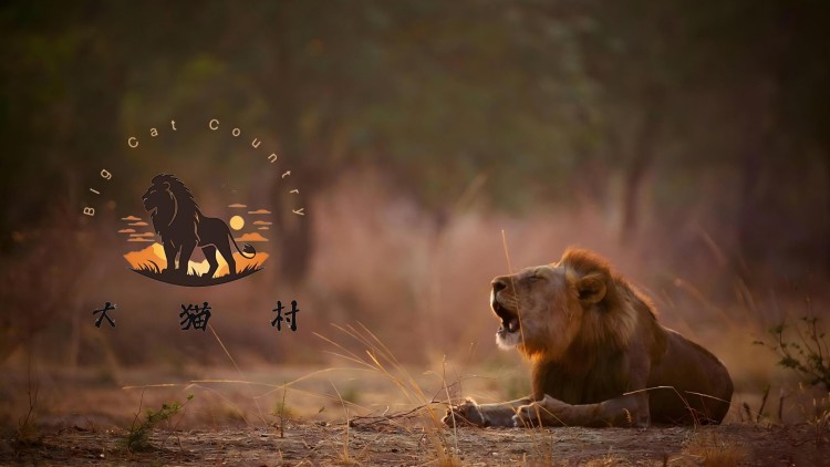 留守儿童的情感渴望