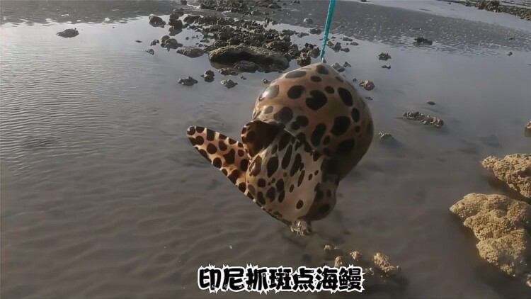 经济发展：提高人民生活水平的基础