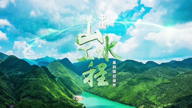 萌宝来袭爹地追妻我助攻