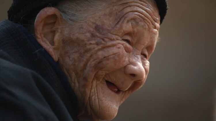 干旱罗马