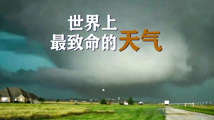 爱你是我的秘密