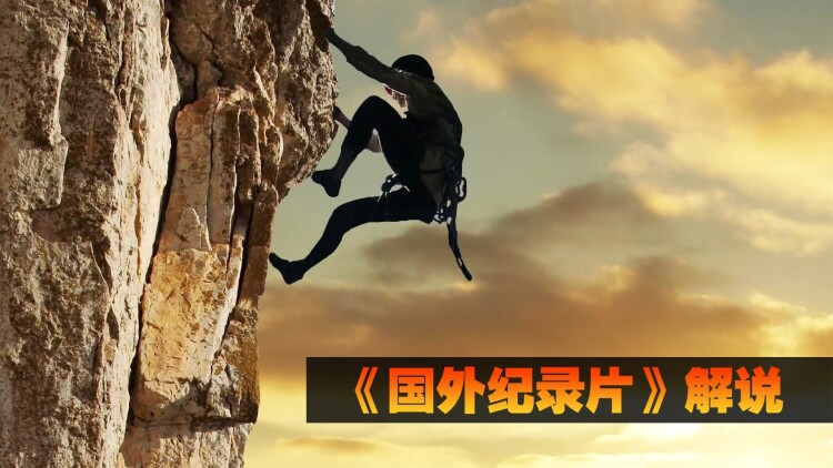 退休十年总裁老妈飒爽归来