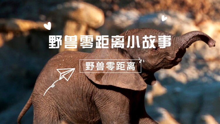 《庆余年之帝王业》之少年风云