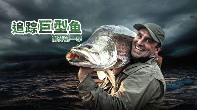 重生后我又飒又爽又强的职场逆袭