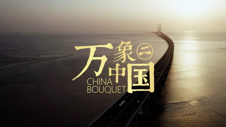 音乐精灵的市场前景：能否打破传统音乐平台的限制？