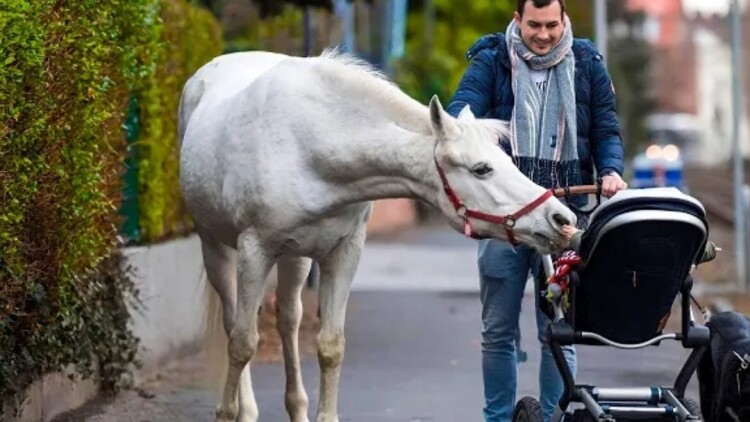 画妖奇谭