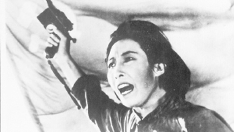 养敌为患