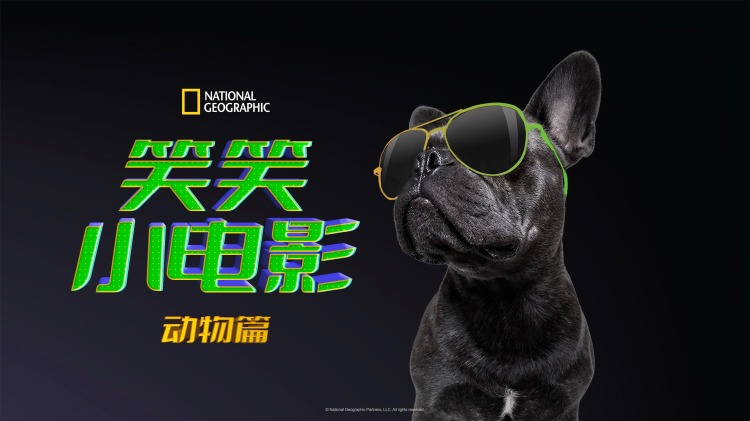 爱在离婚进行时短剧版——冲突升级