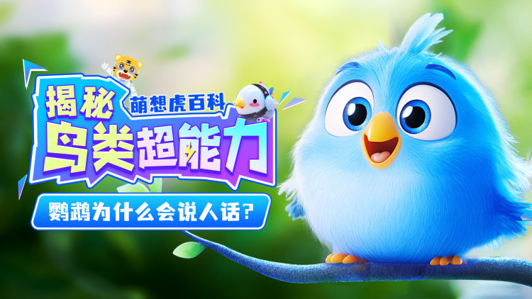 向山海出发2青春篇