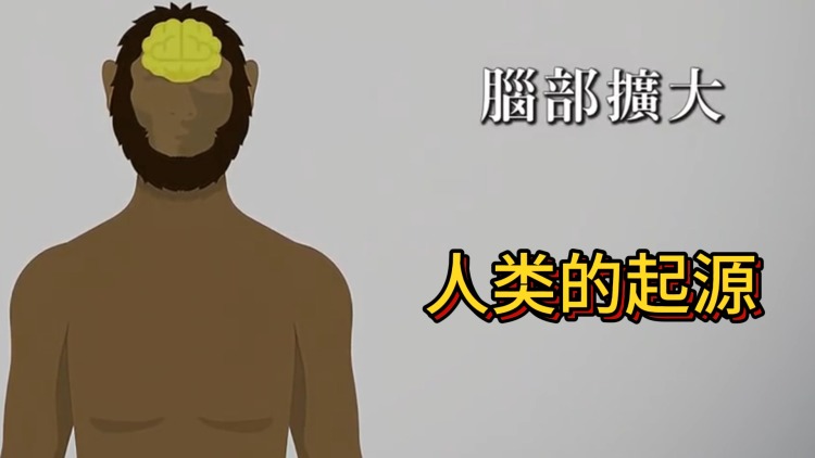 雾色渐褪时
