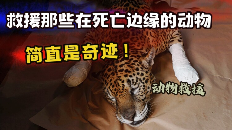 相亲被拜金女羞辱当晚复仇
