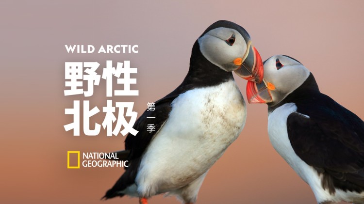 如何检查是否为恶意软件？