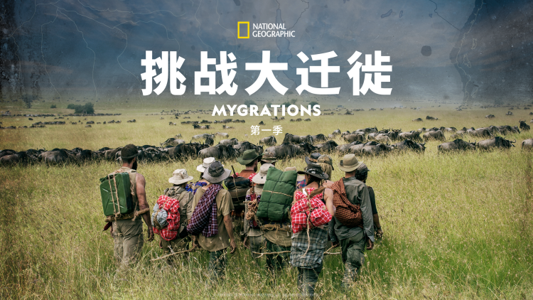 范德沃克第四季：家族阴影