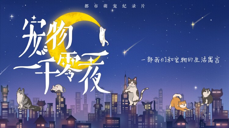 金凤凰