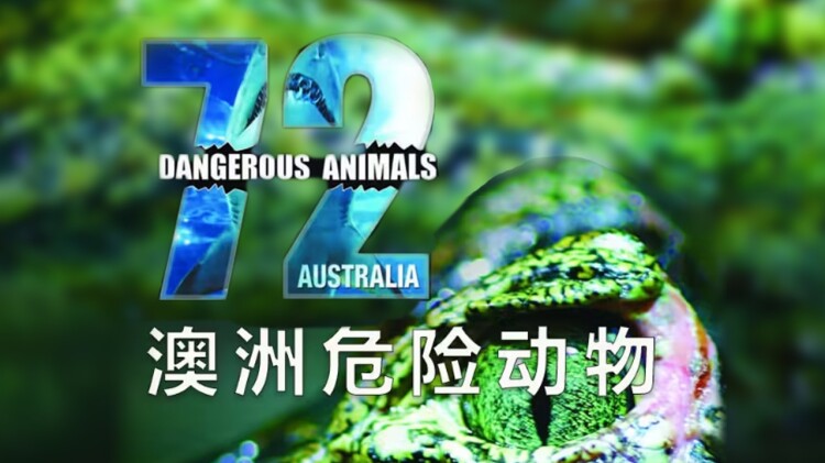 阿加莎与午夜谋杀案