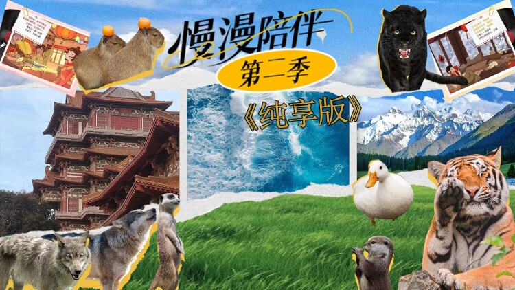 网店经营——在家创业，打造属于自己的小生意
