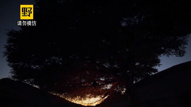分类错误的常见原因