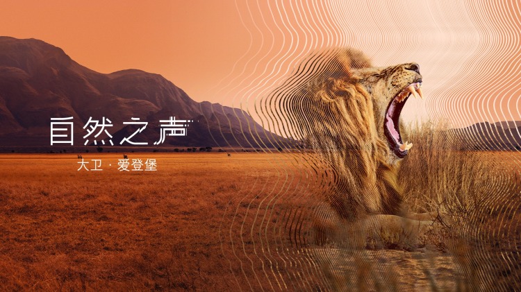 金融丑闻揭发Wirecard诈骗案