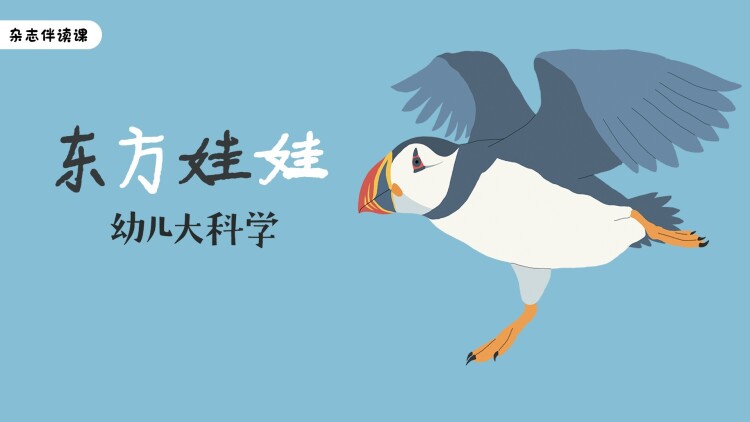 噬血芭蕾