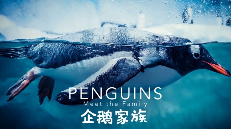 明天我会成为谁的女友第二季