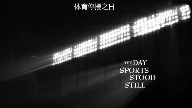 财源滚滚小厨神