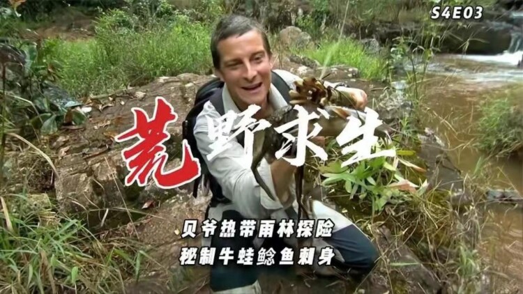 新快递员之奋斗人生的友情与团队