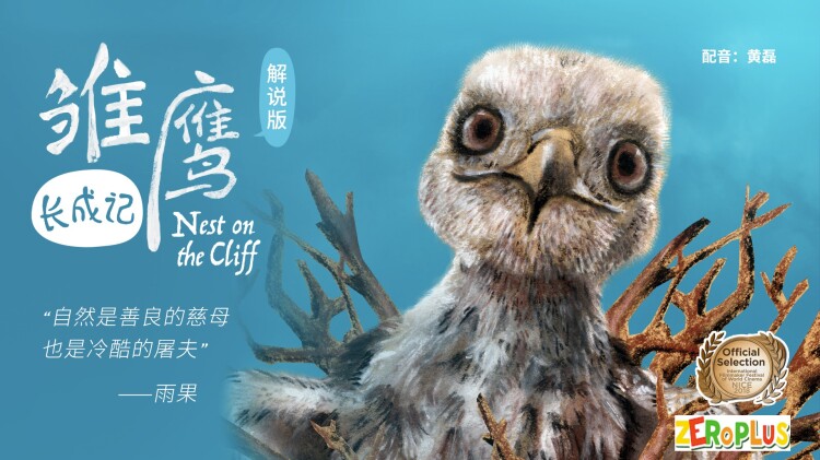 婆婆的礼物