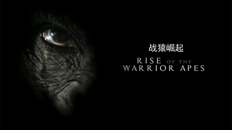 《今日份的散步》最新选集