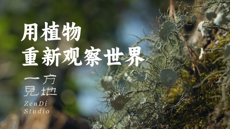 替身狂婿