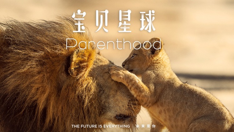 狩猎2022