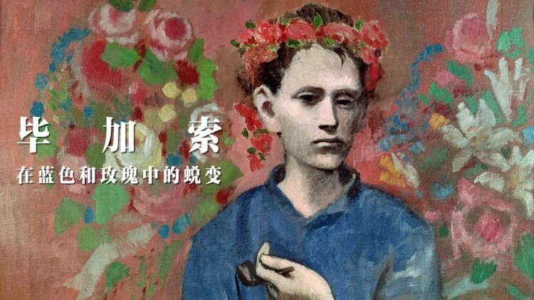 灿烂的花园