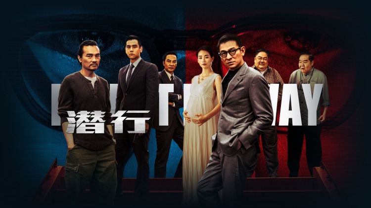 秦总您的戏精老婆又作妖了