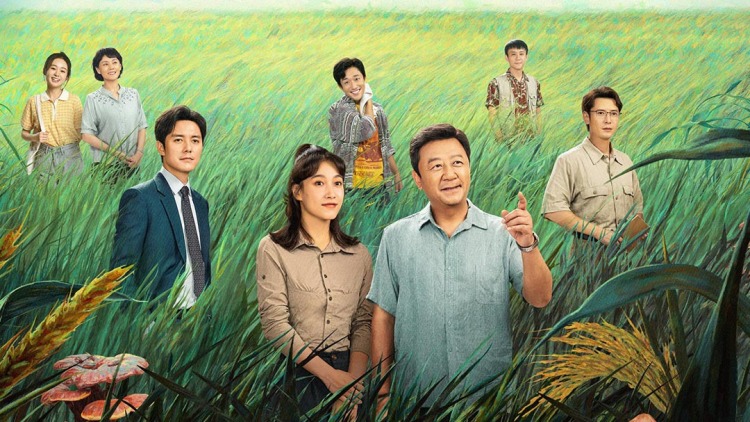 泰版我可能不会爱你