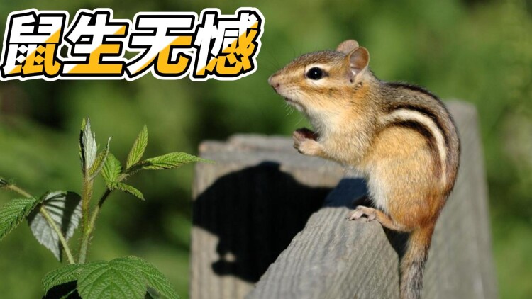 靠近我一点