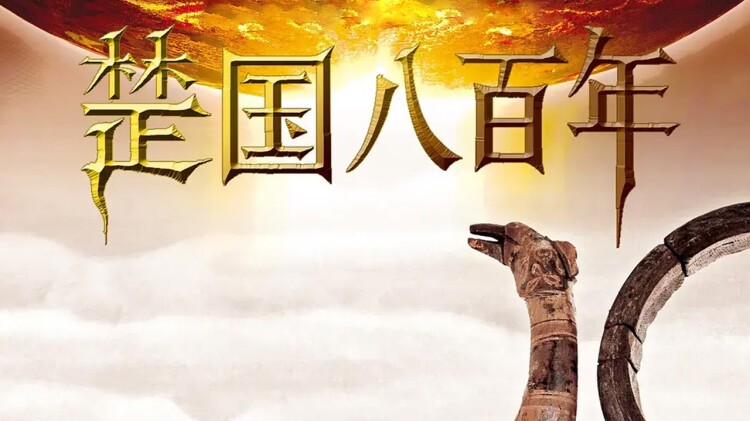 八十龟酱观察日记
