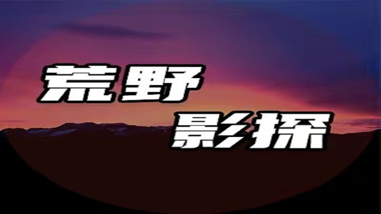 最真挚的爱：深情告白