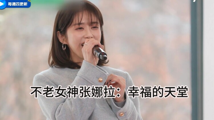 四平警事之尖峰时刻